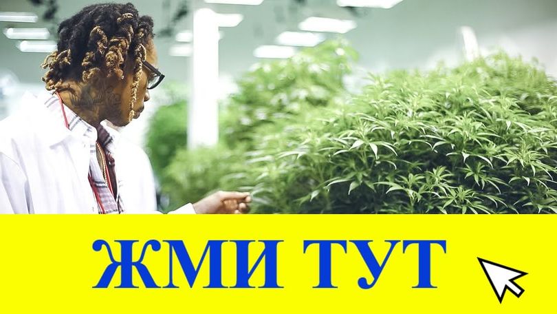 Купить наркотики в Вытегре